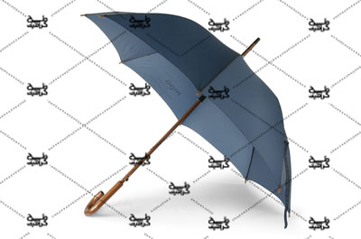 دانلود تصویر باکیفیت چتر