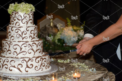 دانلود تصویر عروس و داماد در حال بریدن کیک