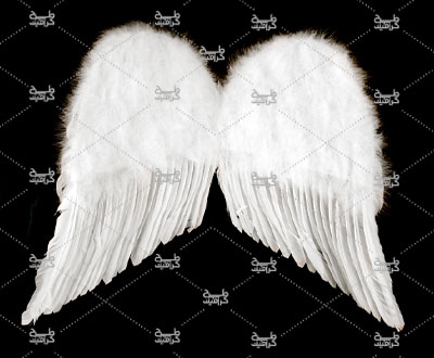 دانلود عکس بال فرشته سفید