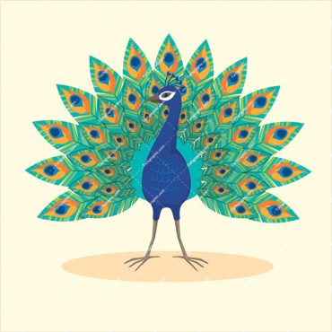 طرح وکتور طاووس کارتونی
